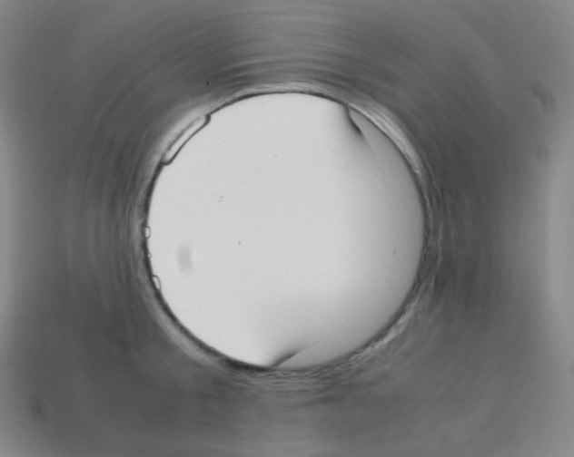 X0000113110805200910091158