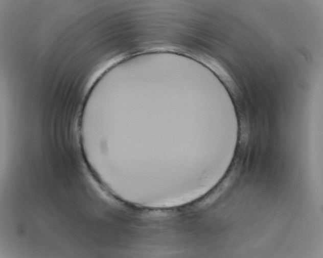 X0000113110806200910091158