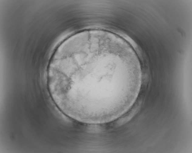 X0000113110807200910091158