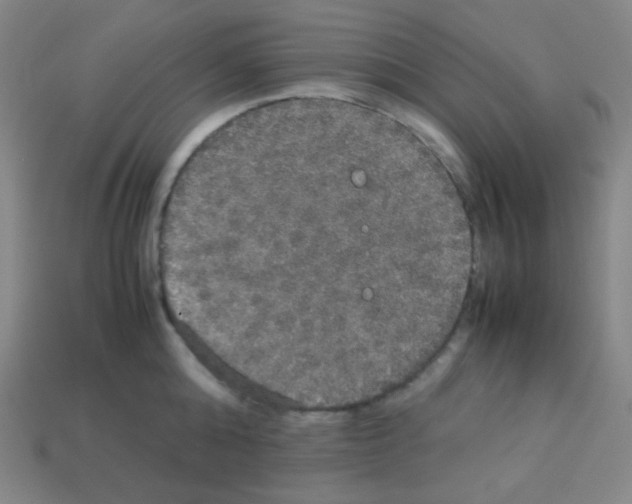 X0000113110808200910091158