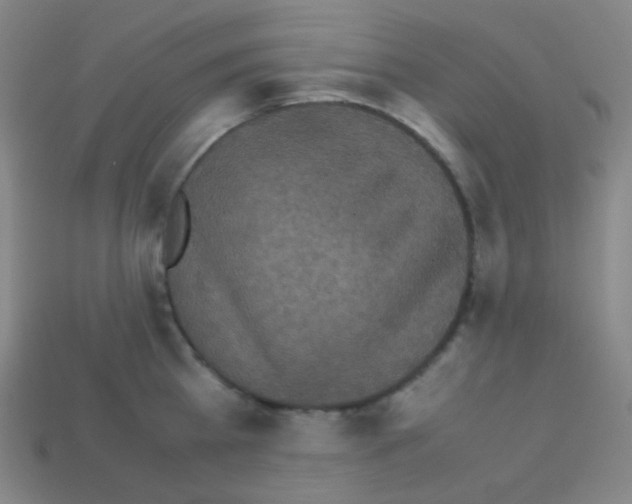 X0000113110809200910091158
