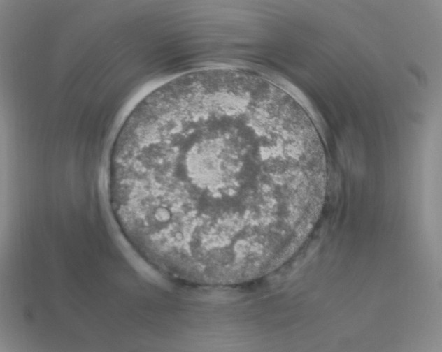 X0000113110811200910091158