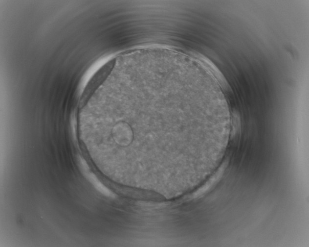 X0000113110812200910091158