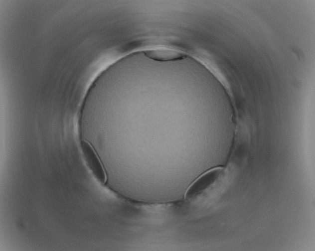 X0000113110813200910091158