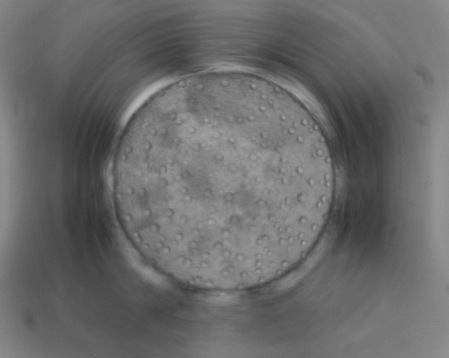 X0000113110814200910091158