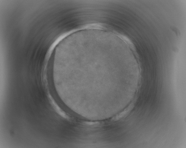 X0000113110816200910091158