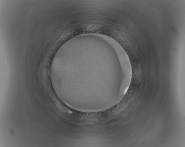 X0000113110817200910091157