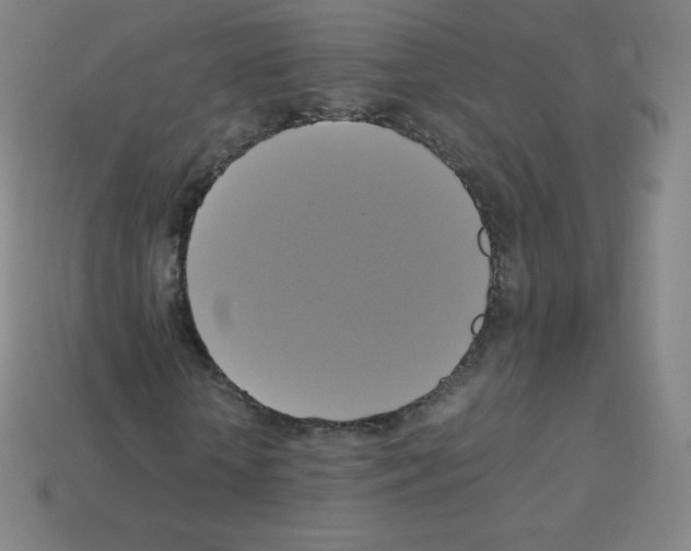 X0000113110818200910091157