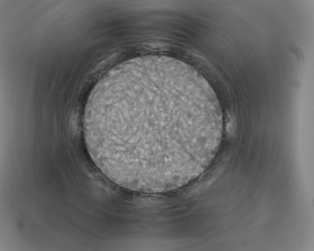 X0000113110819200910091157