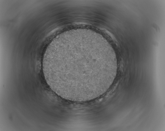 X0000113110821200910091157
