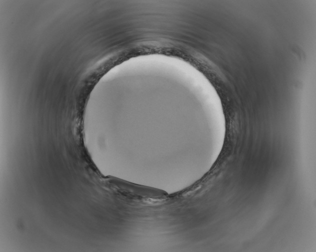 X0000113110822200910091157
