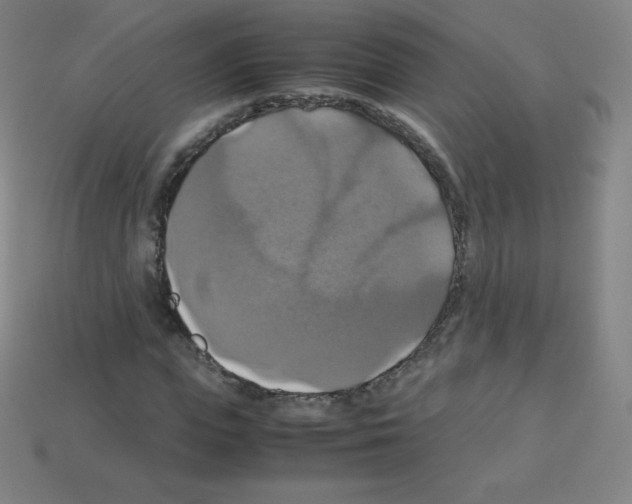 X0000113110823200910091157