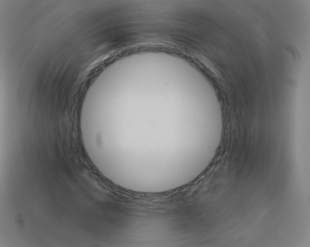 X0000113110824200910091157