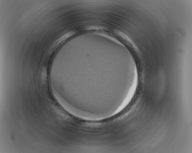 X0000113110825200910091157
