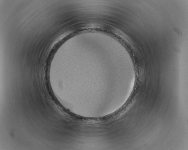 X0000113110826200910091157