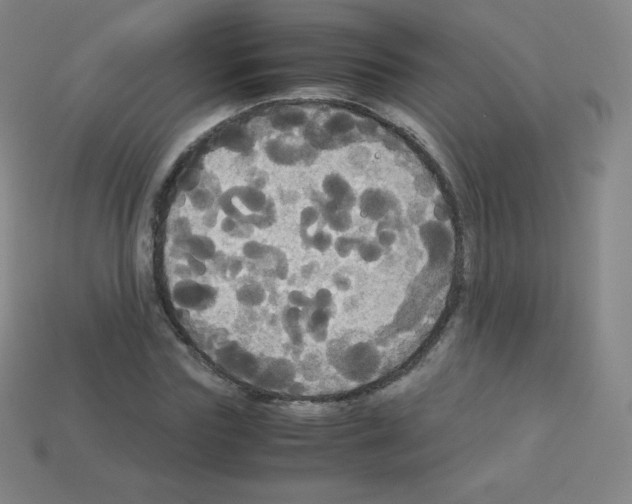 X0000113110827200910091157