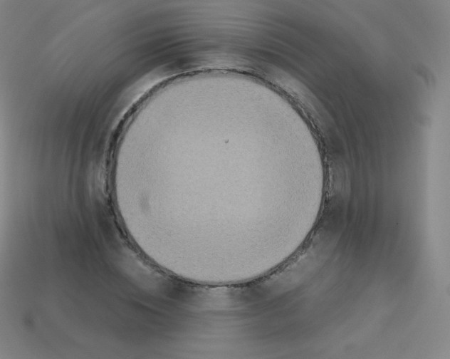 X0000113110828200910091158