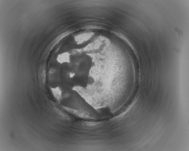 X0000113110829200910091158