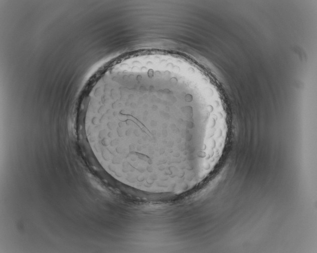 X0000113110830200910091158