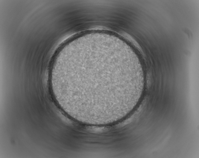 X0000113110831200910091158
