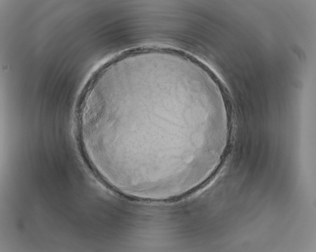 X0000113110832200910091158