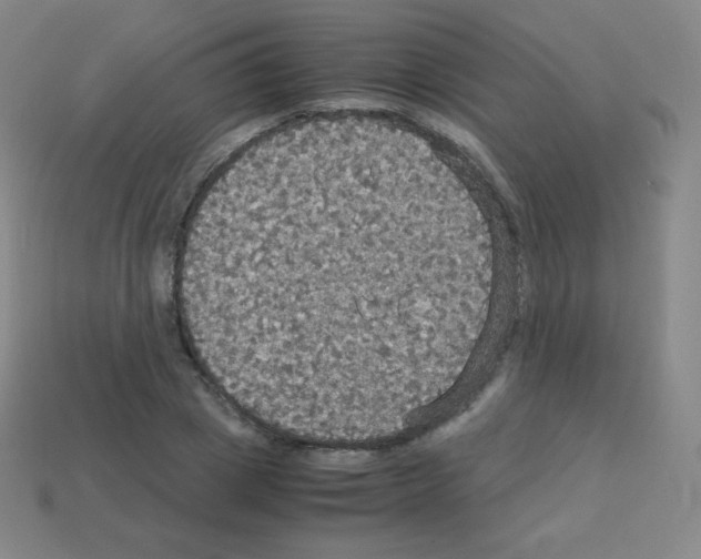 X0000113110833200910091158