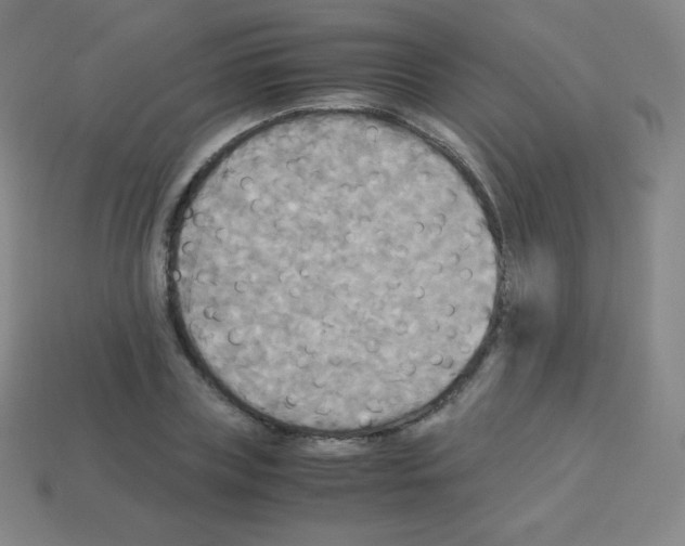 X0000113110835200910091158