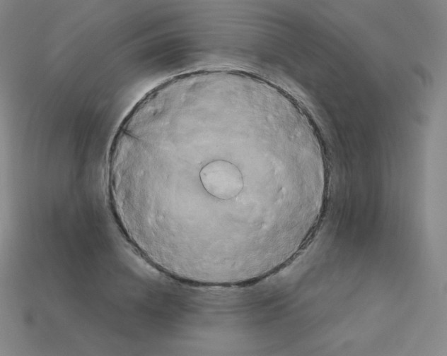X0000113110836200910091158