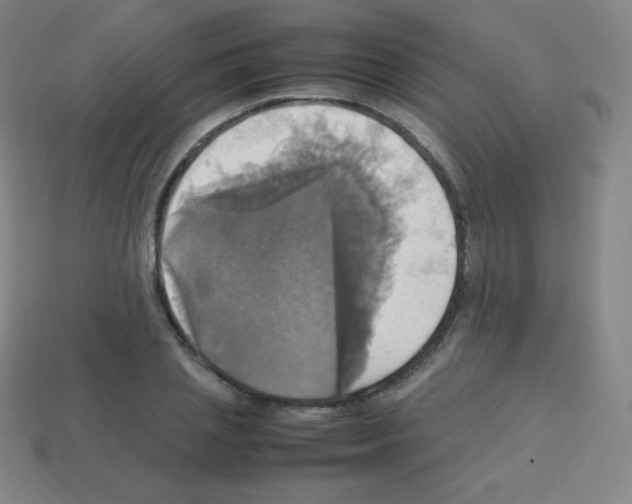X0000113110837200910091158