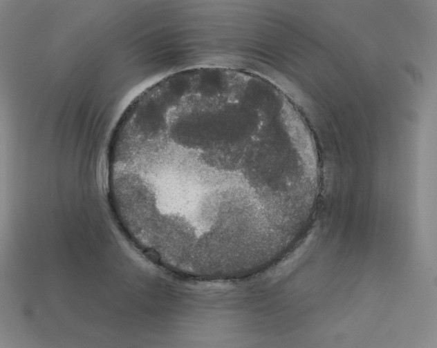 X0000113110838200910091158