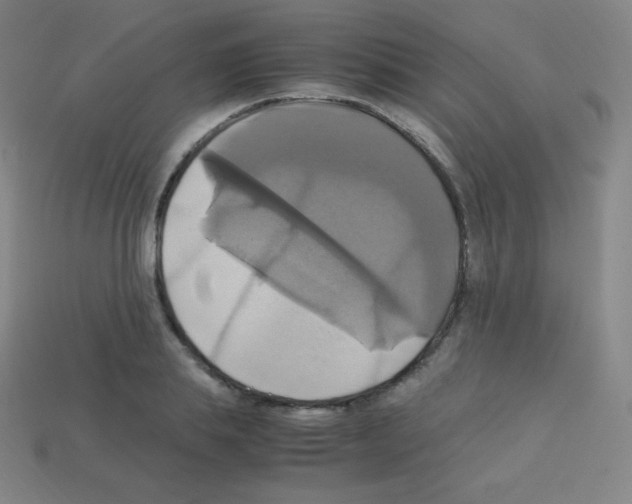X0000113110839200910091158