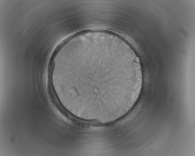 X0000113110840200910091158