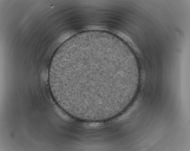 X0000113110841200910091158