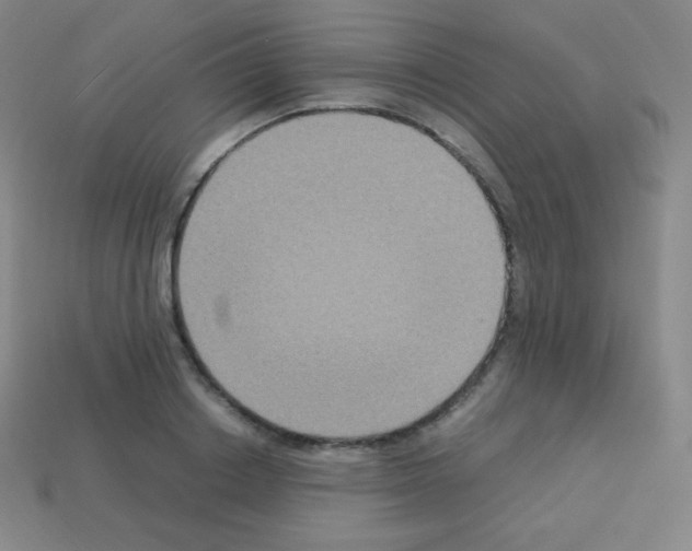 X0000113110842200910091158
