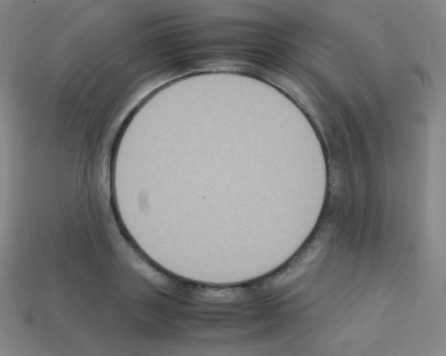 X0000113110843200910091158