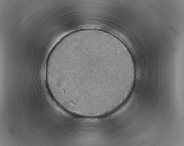 X0000113110844200910091158