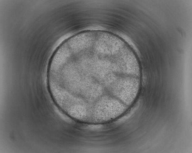 X0000113110845200910091158