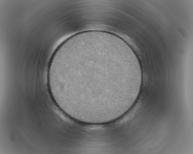 X0000113110846200910091158