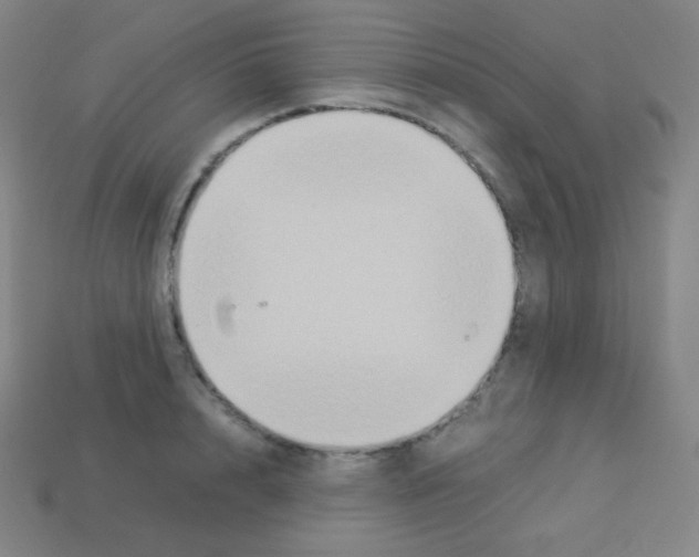 X0000113110848200910091158