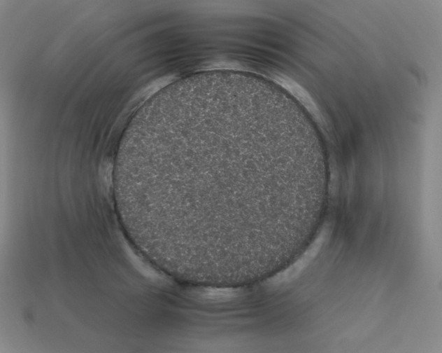 X0000113110849200910091158