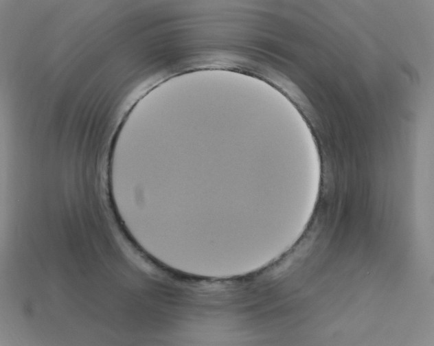 X0000113110850200910091158
