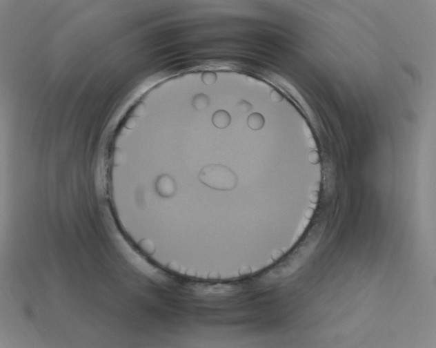 X0000113110851200910091158