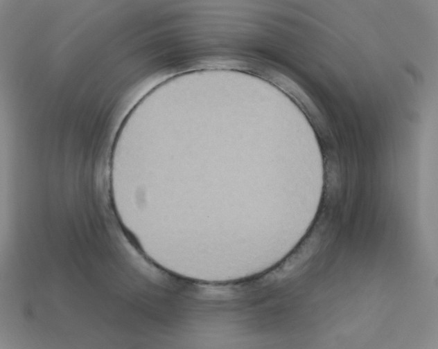 X0000113110852200910091158