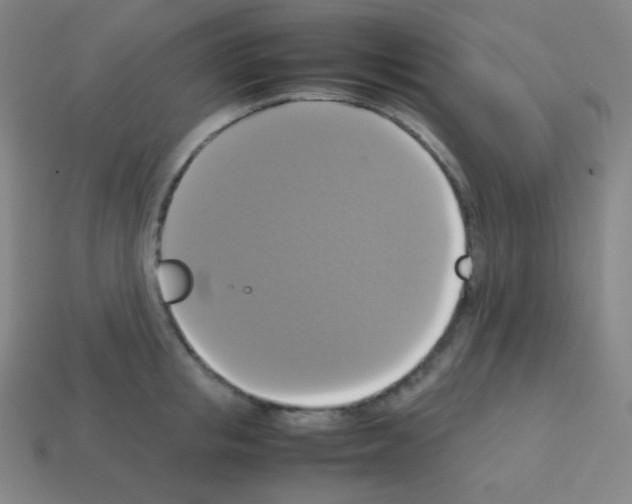 X0000113110853200910091158