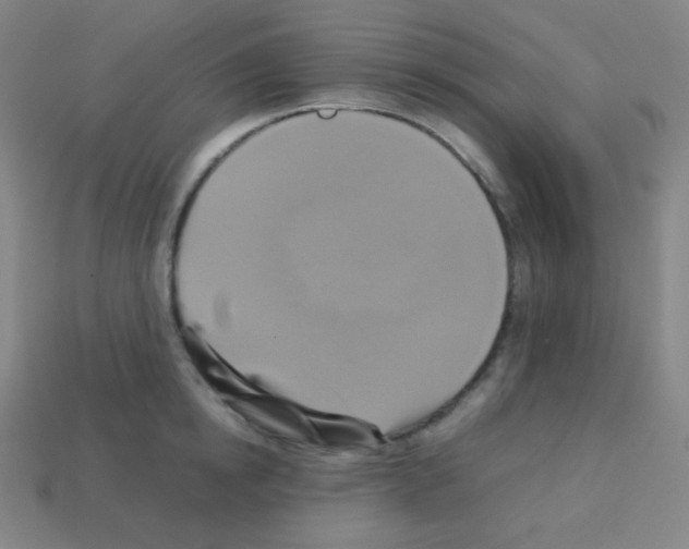 X0000113110854200910091158