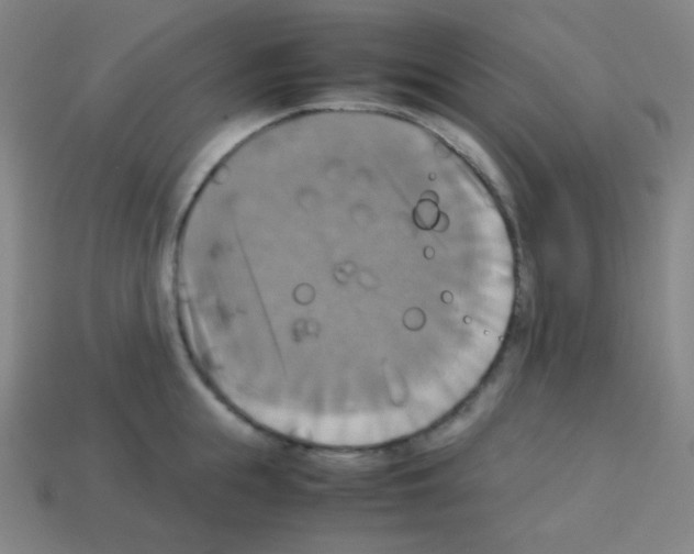 X0000113110855200910091158