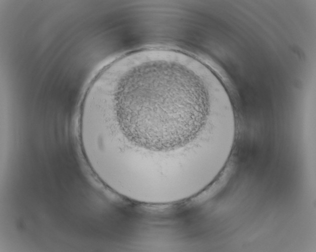 X0000113110856200910091158