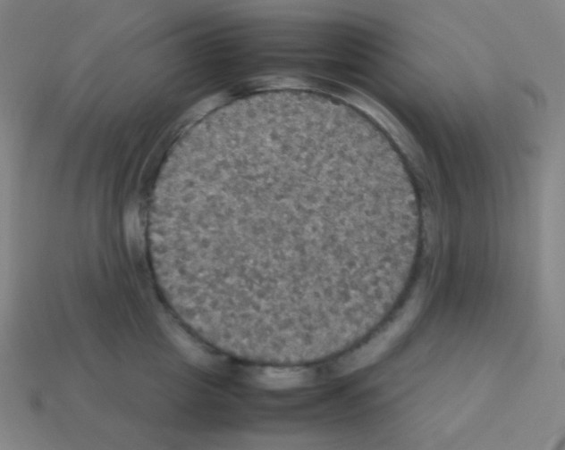 X0000113110857200910091158