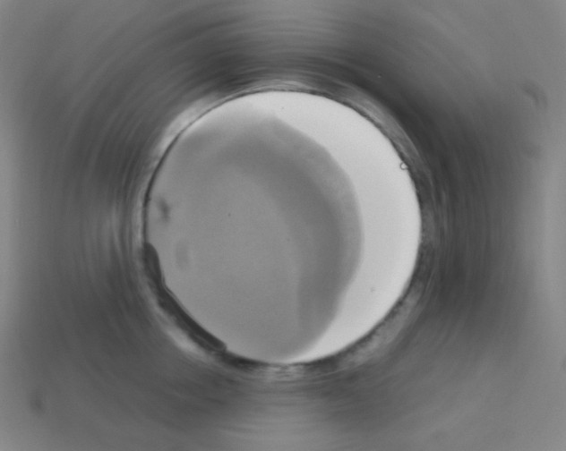 X0000113110858200910091158