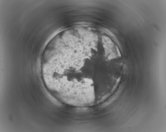 X0000113110859200910091158